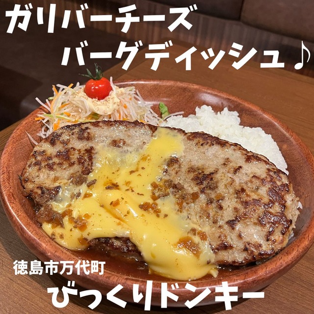 ドンキーガリバー