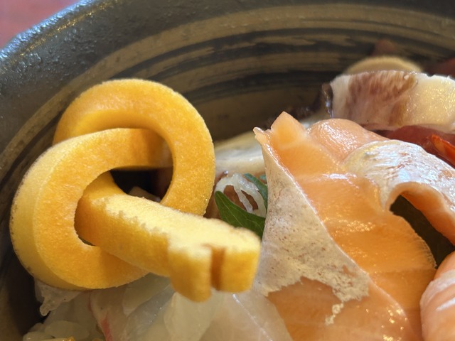 サクラマス1-5-1