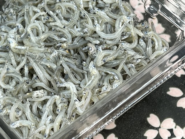 ❷ちりめん1-2-1