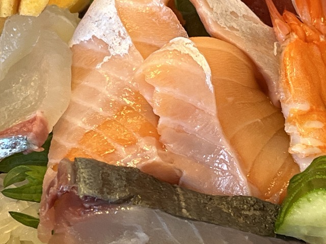 サクラマス1-3-1