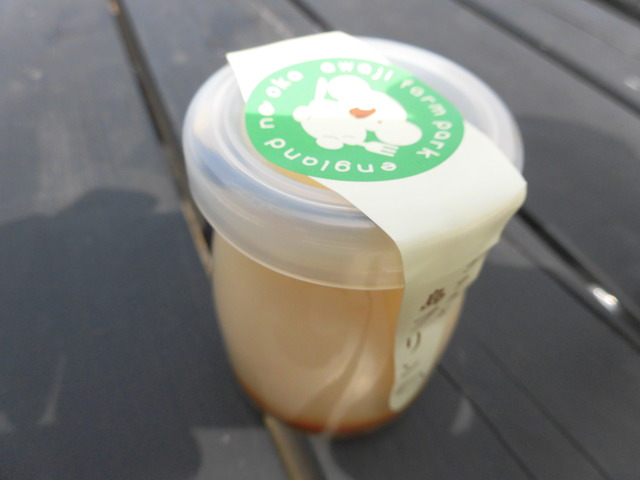 コアラ島プリン