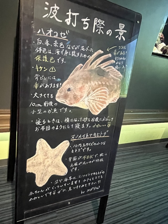 ❸波打ち際の景