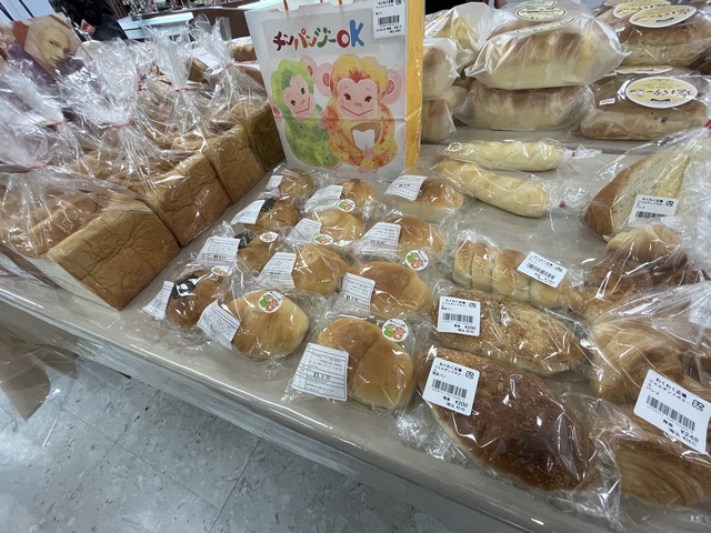 パンチンパンジー1