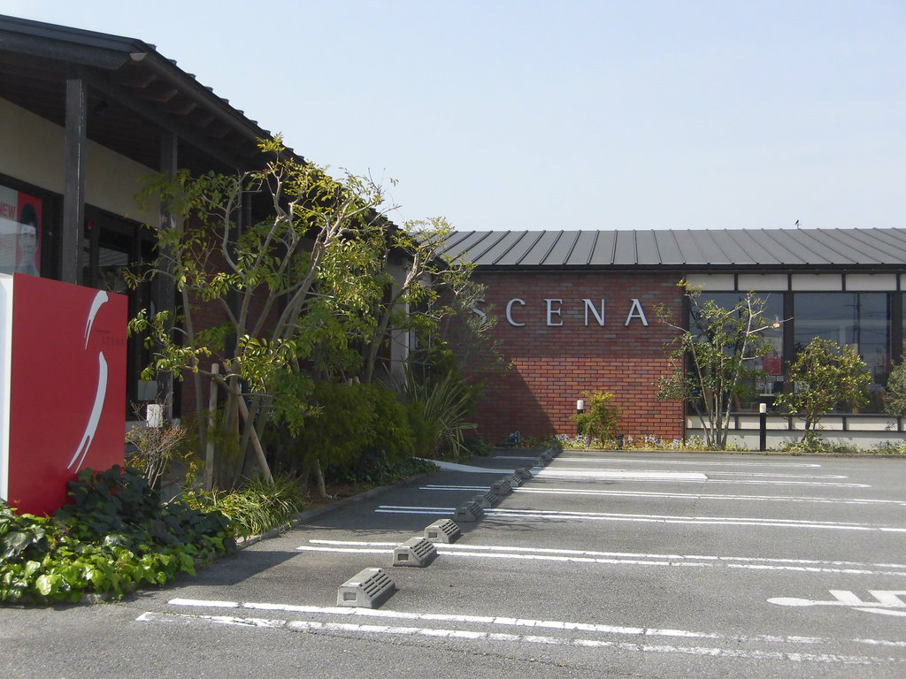 徳島市国府町 イタリア創作料理シェーナ 徳島 おいしい 楽しい 徳島市国府町 イタリア創作料理シェーナ 徳島 おいしい 楽しい