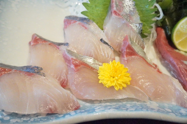 シマアジ刺身定食2-1-1