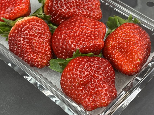 とちおとめ1-1-1