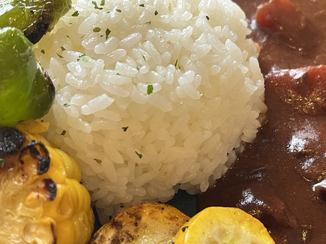 牛すじカレー1-5