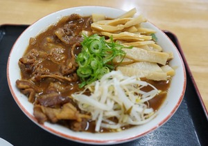 肉メンマ入り