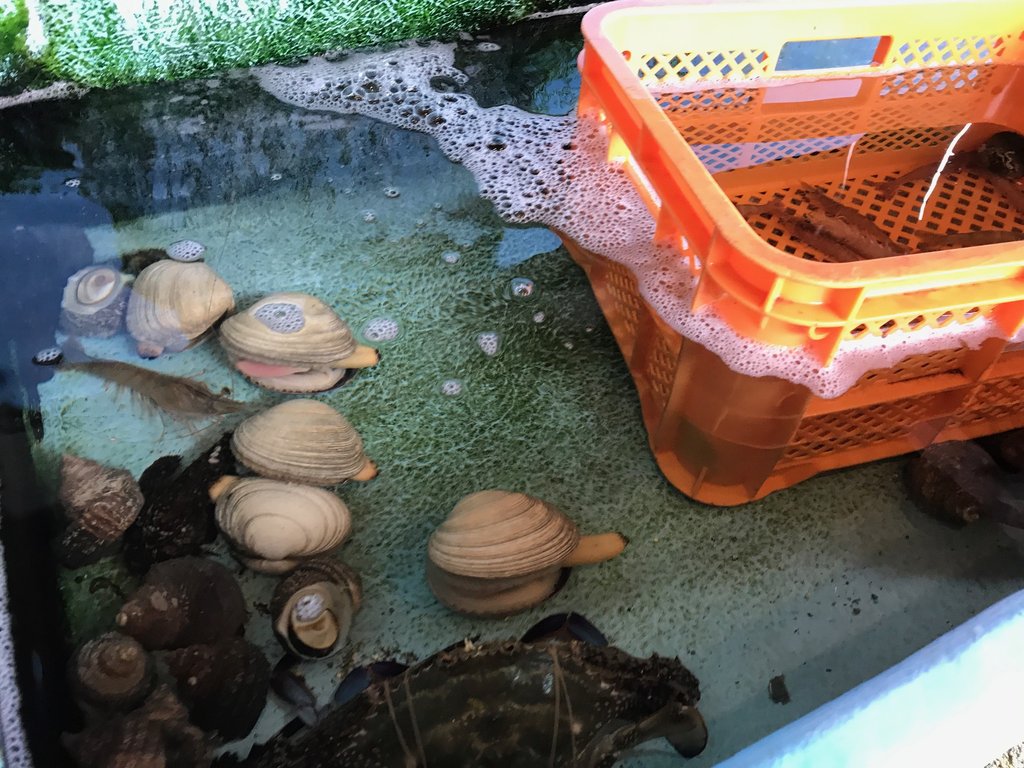 徳島市沖洲町でお魚ランチ 魚榮 徳島 おいしい 楽しい