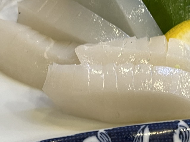 あおりいか1-2-5