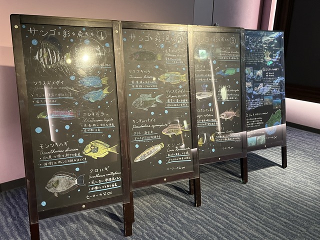 ❶-3サンゴ礁の景サンゴを彩る魚たち