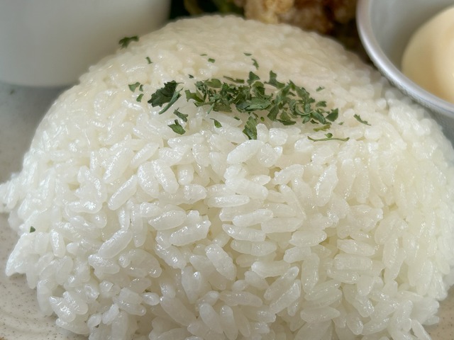 唐揚げ1-4-1