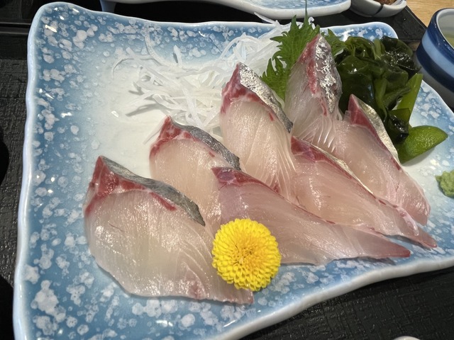 シマアジ2-2-1