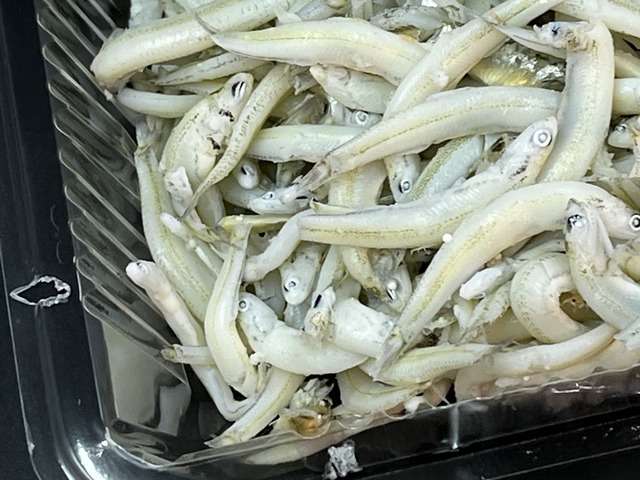 釜揚げしらす1-3-1