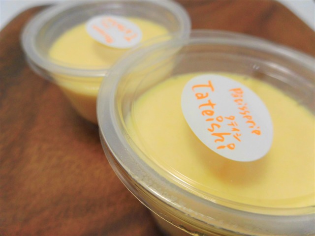 タテイシプリン1