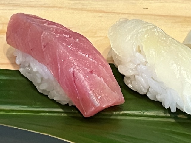 ⓫よこわ