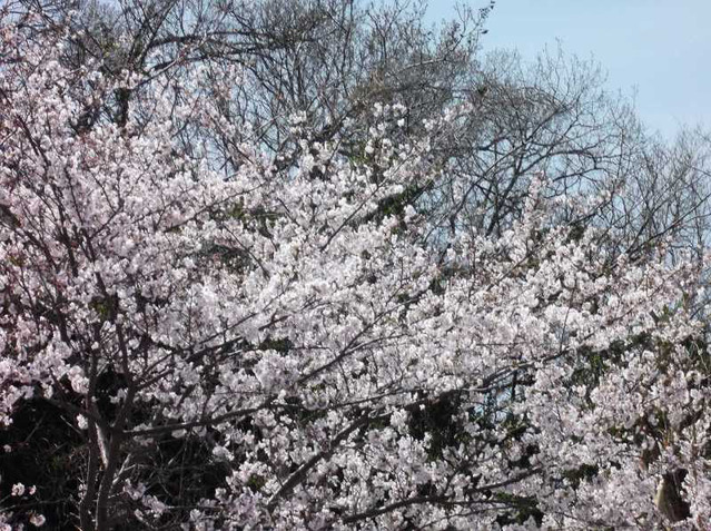 o0800059713264581843