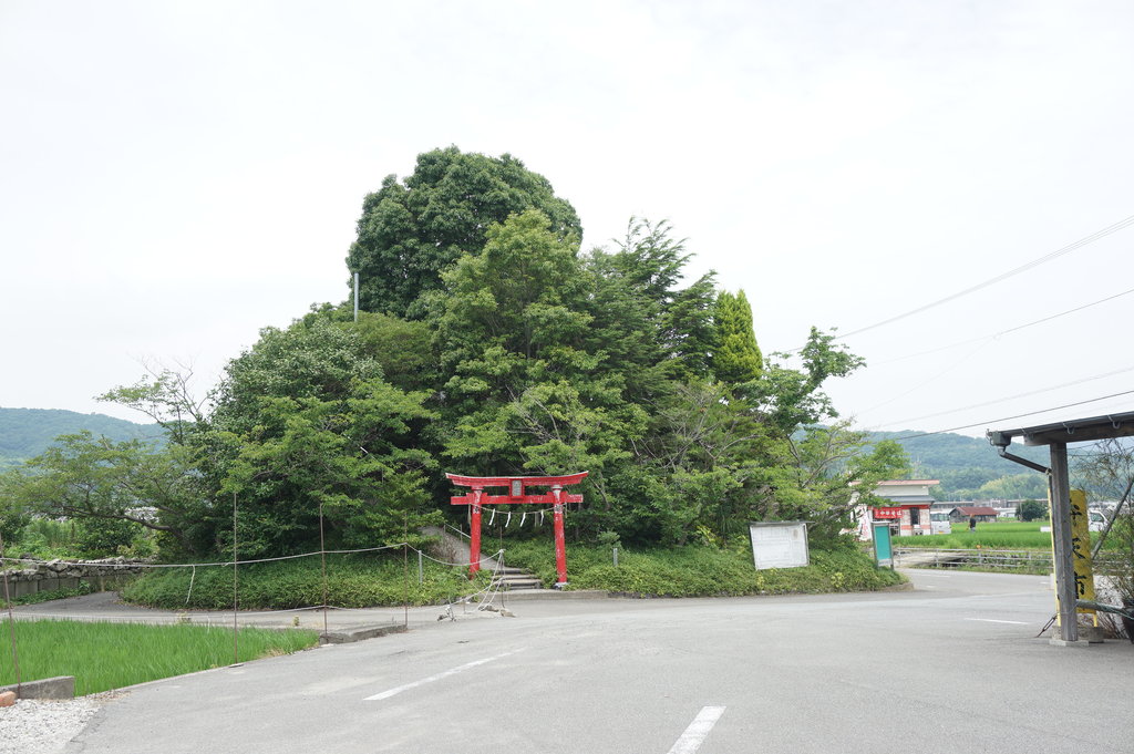日本一低い弁天山の麓で徳島ラーメンを頂く！ チーアン : 徳島 おいしい♪楽しい♪