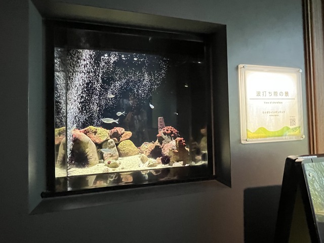 ❸波打ち際の景1-2-1