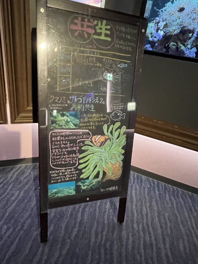 ❶-2サンゴ礁の景共生