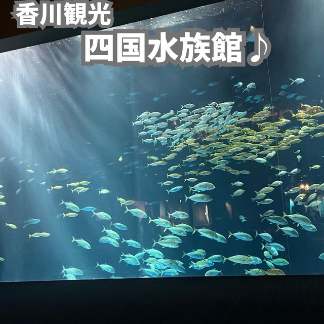 四国水族館
