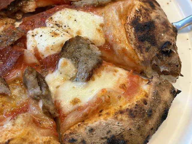 サルシャッチャ1-3