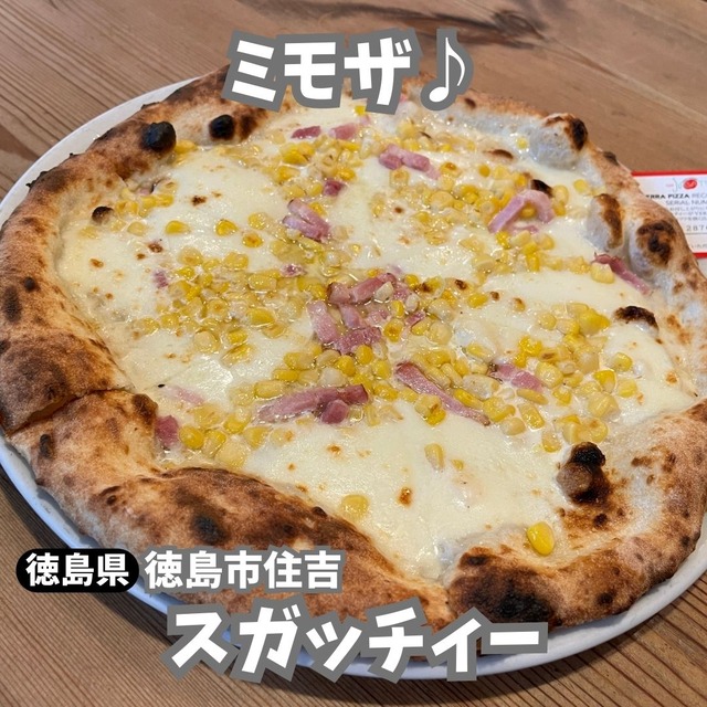 スガッチィー-ミモザ