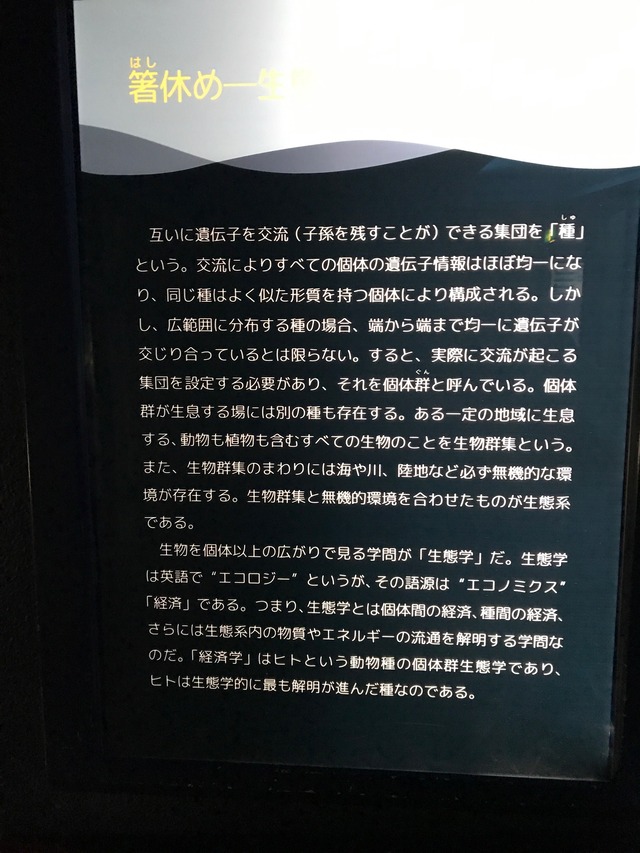 バックヤード1