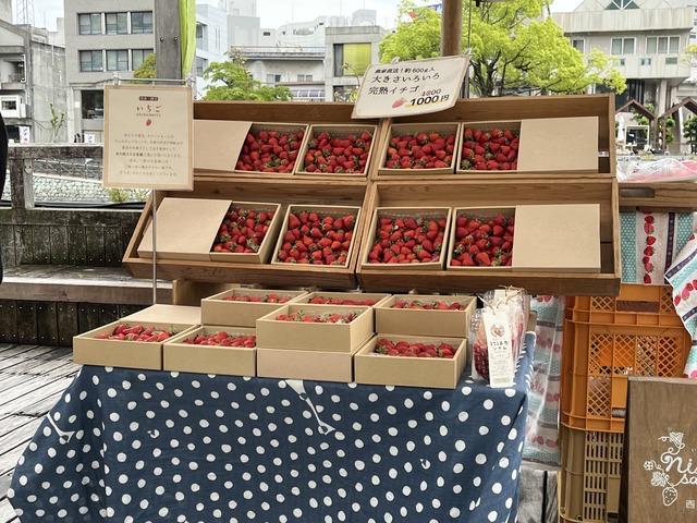 いちご農園西岡産業