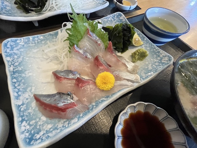 シマアジ3-2-7