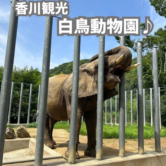 白鳥動物園