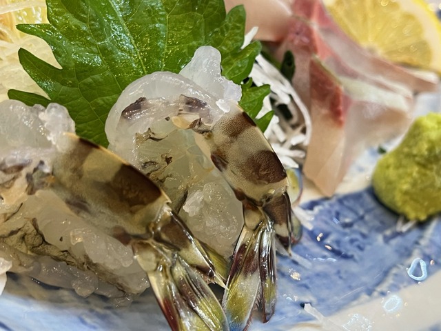 シマアジ・車・赤貝1-2-3