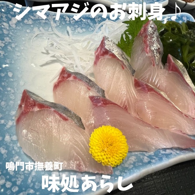 あらし-シマアジ1
