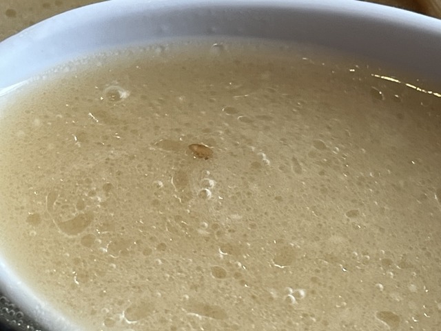 メンマラーメンきくらげトッピング1-2-6