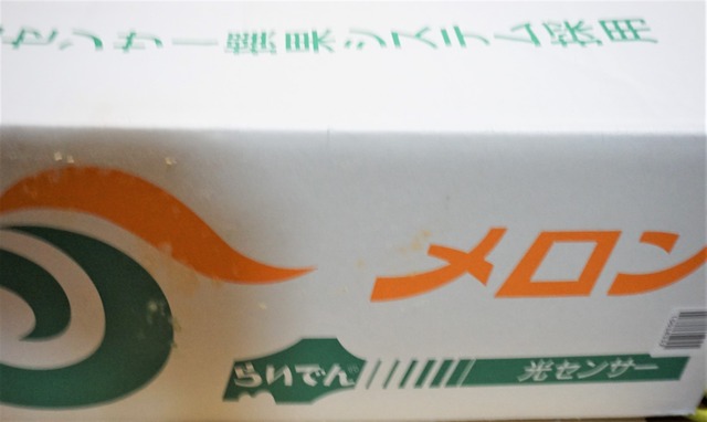 北海道赤肉メロン