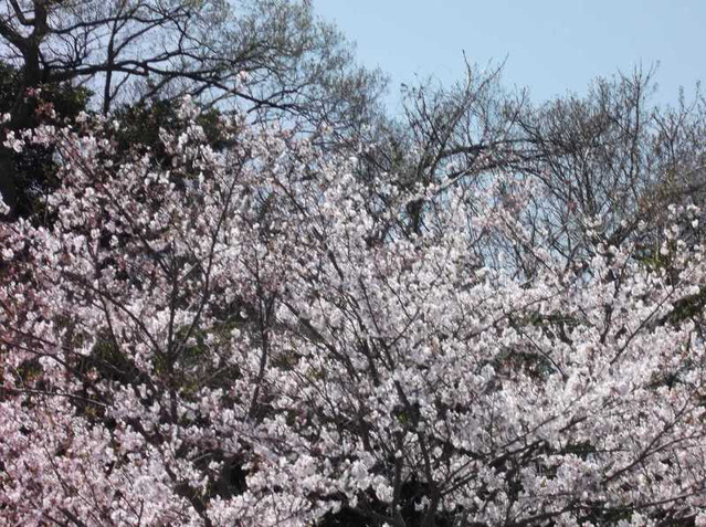 o0800059713264581842