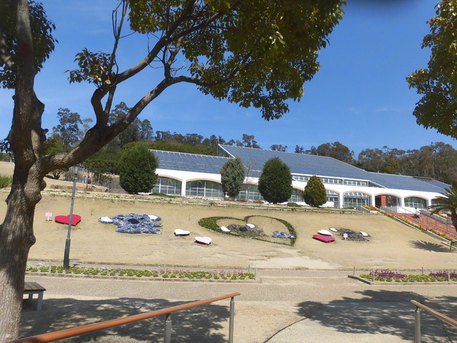 園内コアラの花壇1