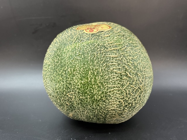 アンデスメロン1