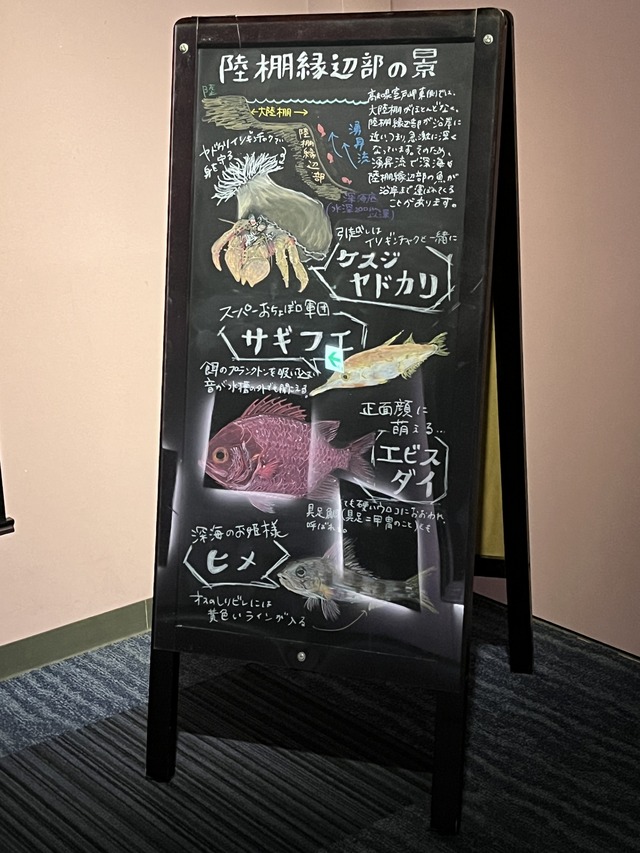 ❸陸棚縁辺部の景