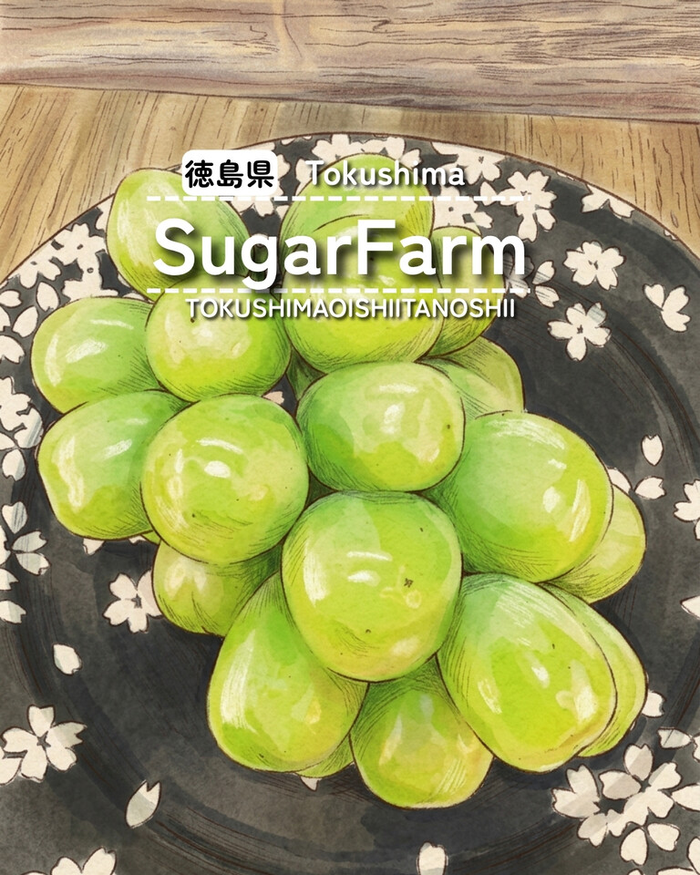 徳島県板野郡藍住町】 ぶどう直売所 SugarFarm : 徳島 おいしい♪楽しい♪