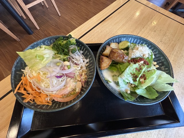 サラダ２-1