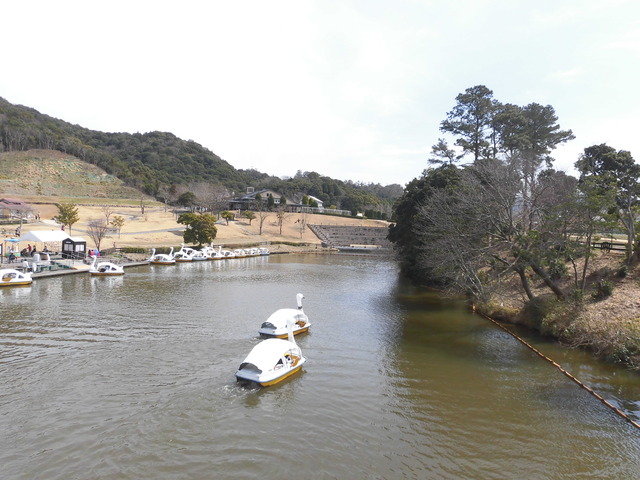 園内スワンボート