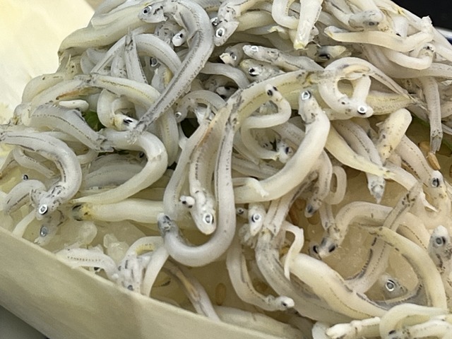 ❷阿波しらすぶっかけおにぎり1-2-1