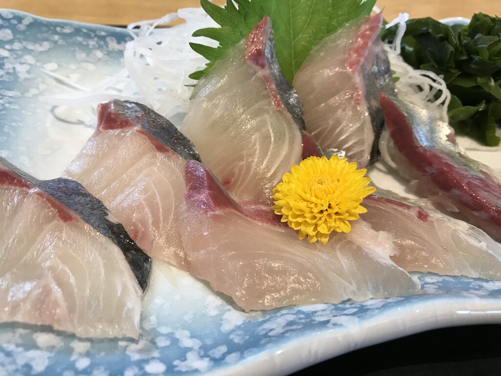 鳴門で新鮮なお魚に舌鼓 味処 あらし 徳島 おいしい 楽しい 鳴門で新鮮なお魚に舌鼓 味処 あらし 徳島 おいしい 楽しい