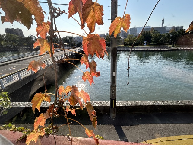 風景1-1-1