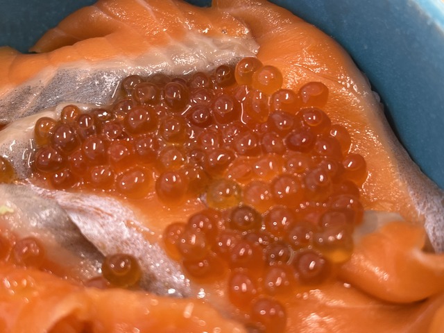 サーモンいくら丼1-3-1