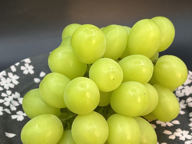 ❶シャイン1-2-1