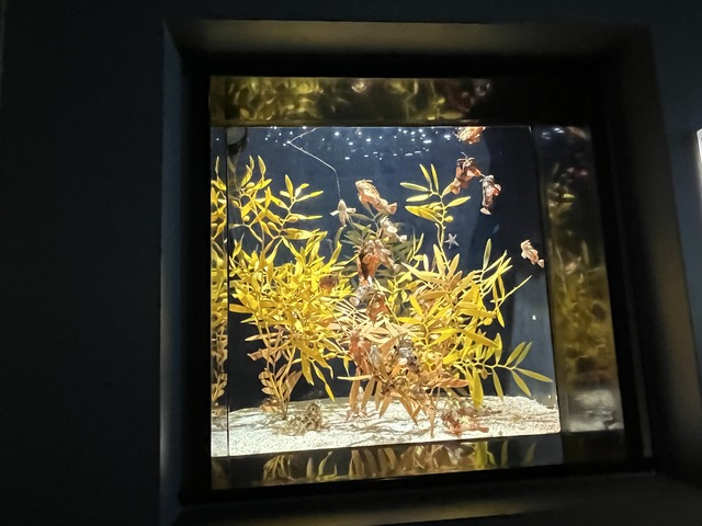 ❸波打ち際の景1