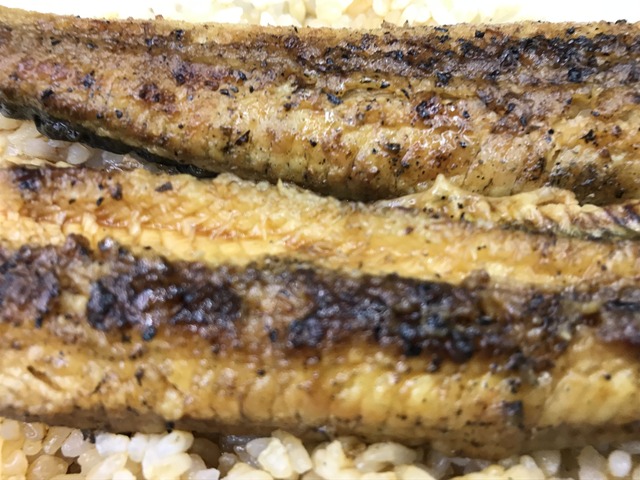 ウナギ弁当1-2-4