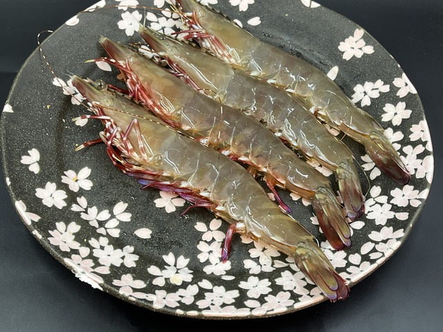 赤エビ1